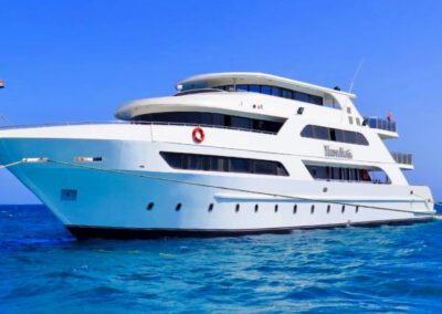 Black Tiger Diving liveaboard fleet